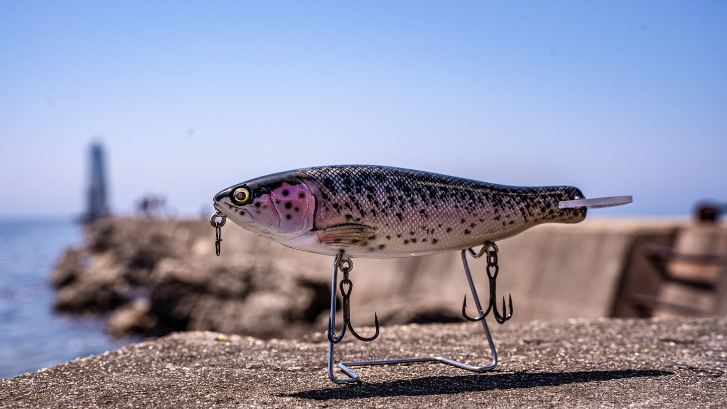SKID ROE (WILD TROUT)‼️
