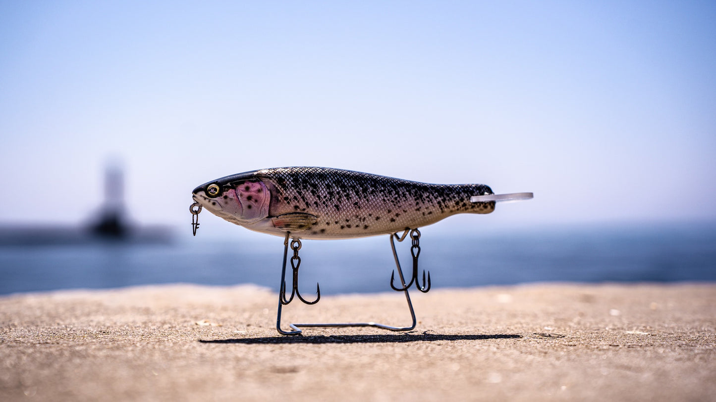 SKID ROE (WILD TROUT)‼️