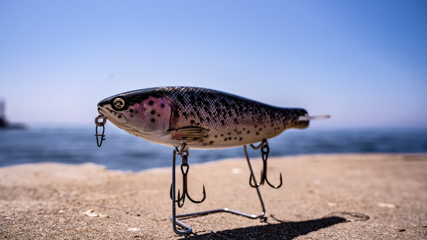 SKID ROE (WILD TROUT)‼️