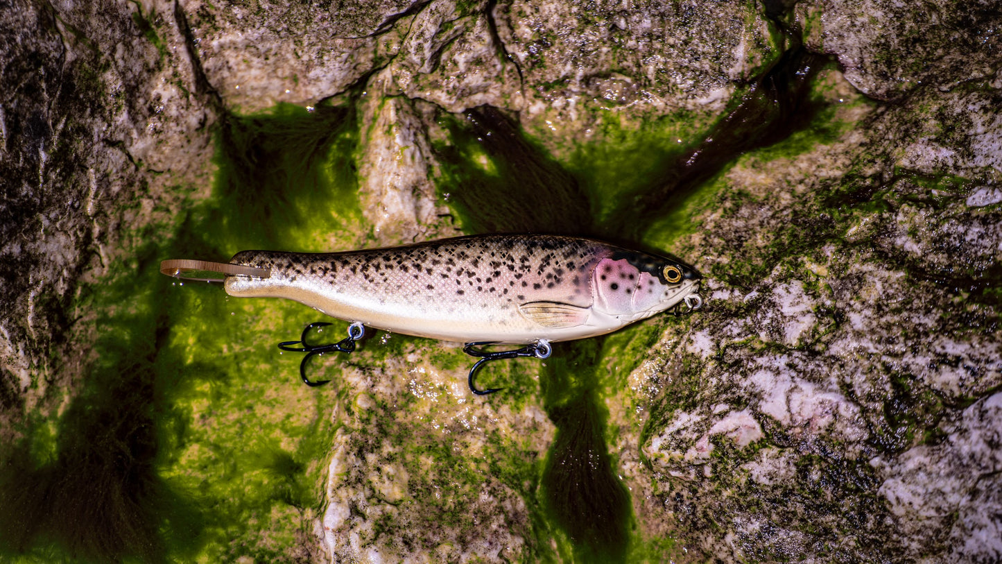 SKID ROE (WILD TROUT)‼️