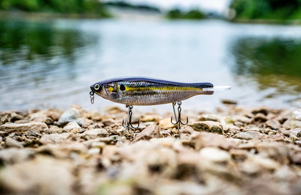 SKID ROE (THREADFIN SHAD)‼️
