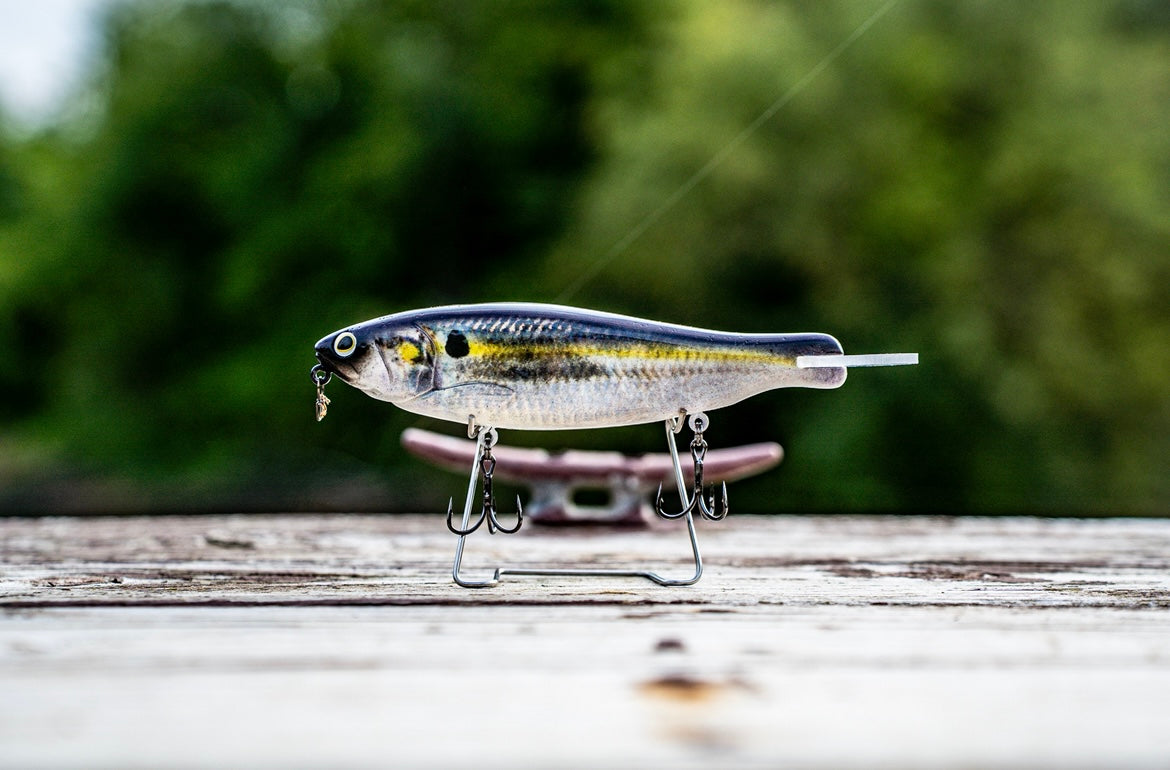 SKID ROE (THREADFIN SHAD)‼️