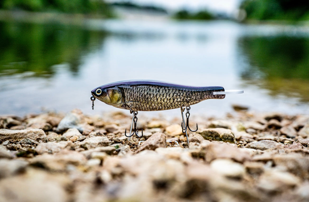 SKID ROE (EZY MINNOW)‼️
