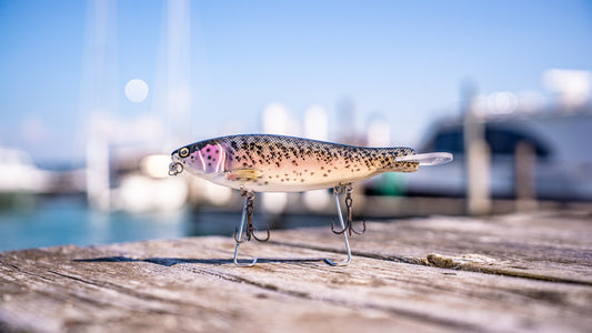 SKID ROE (WILD TROUT)‼️