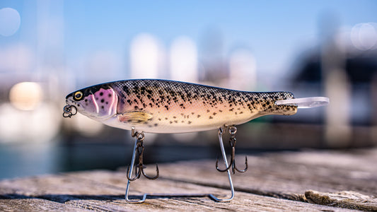SKID ROE (WILD TROUT)‼️