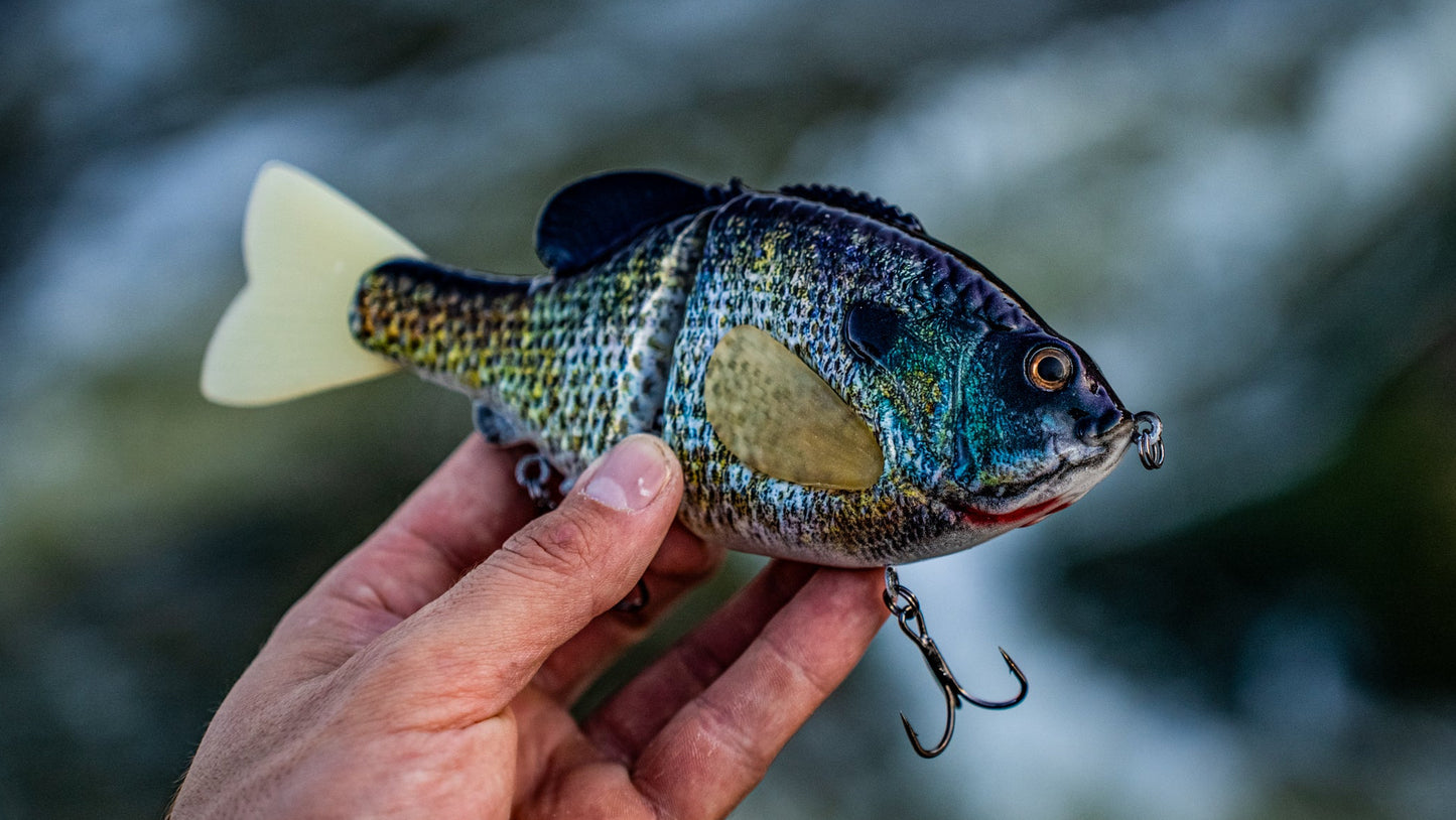 GEN THREE (NATTY GILL)