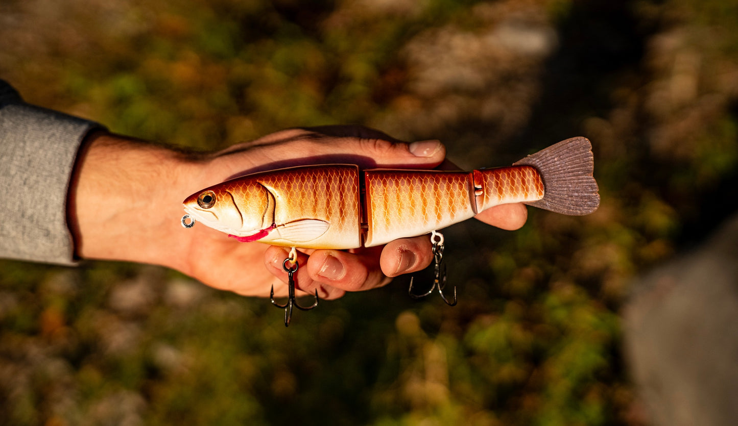 TYPE XXX (TB ROSE GILL)‼️LOW FLOAT