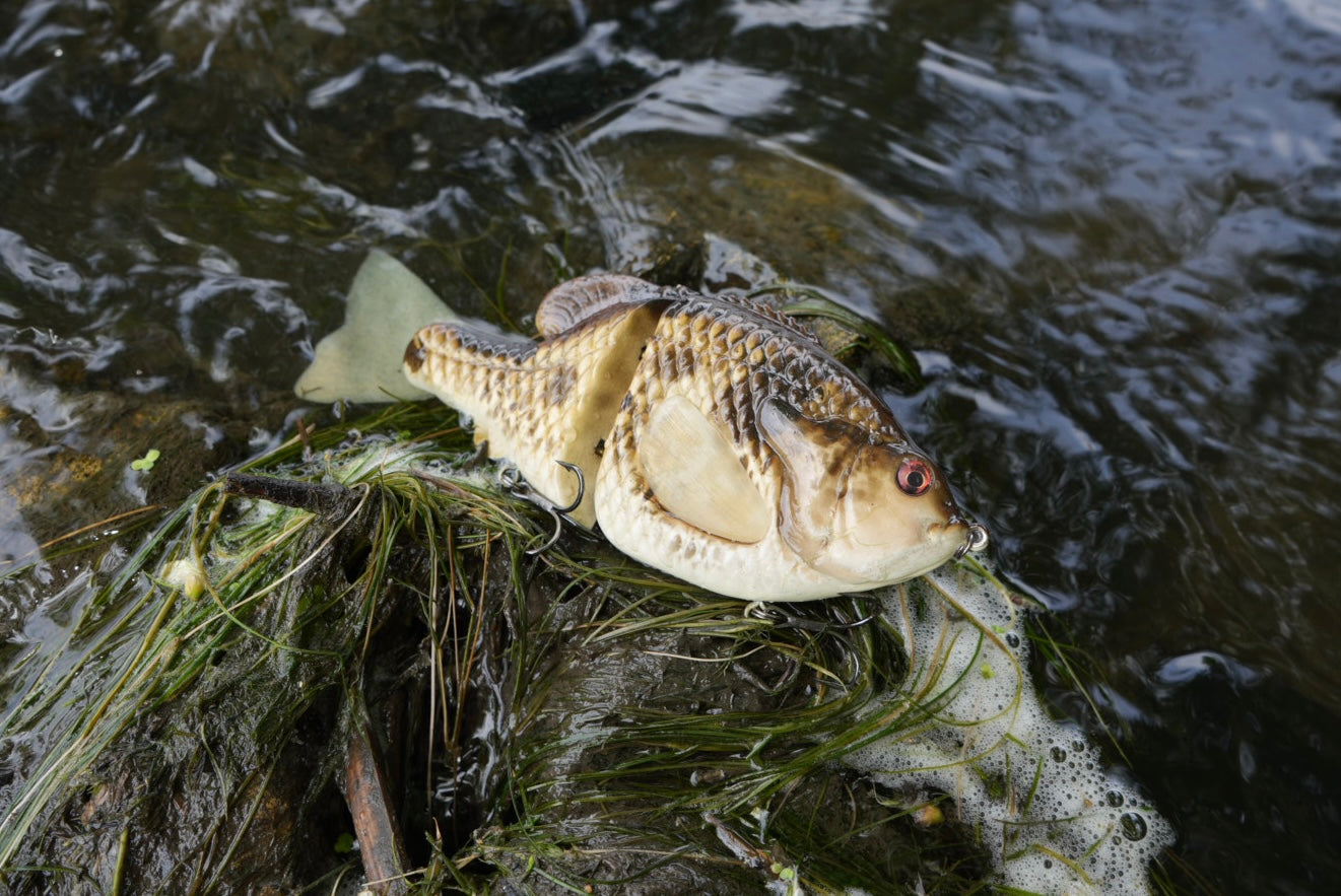 GEN THREE ROCCO BASS