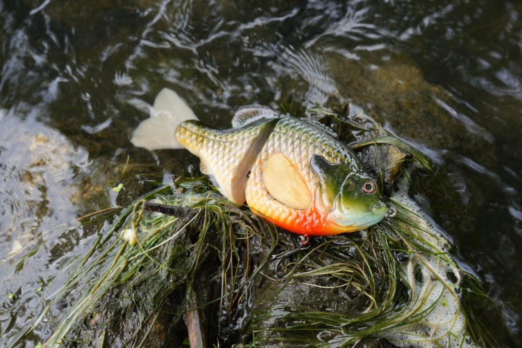 GEN THREE FIRE CROTCH GILL