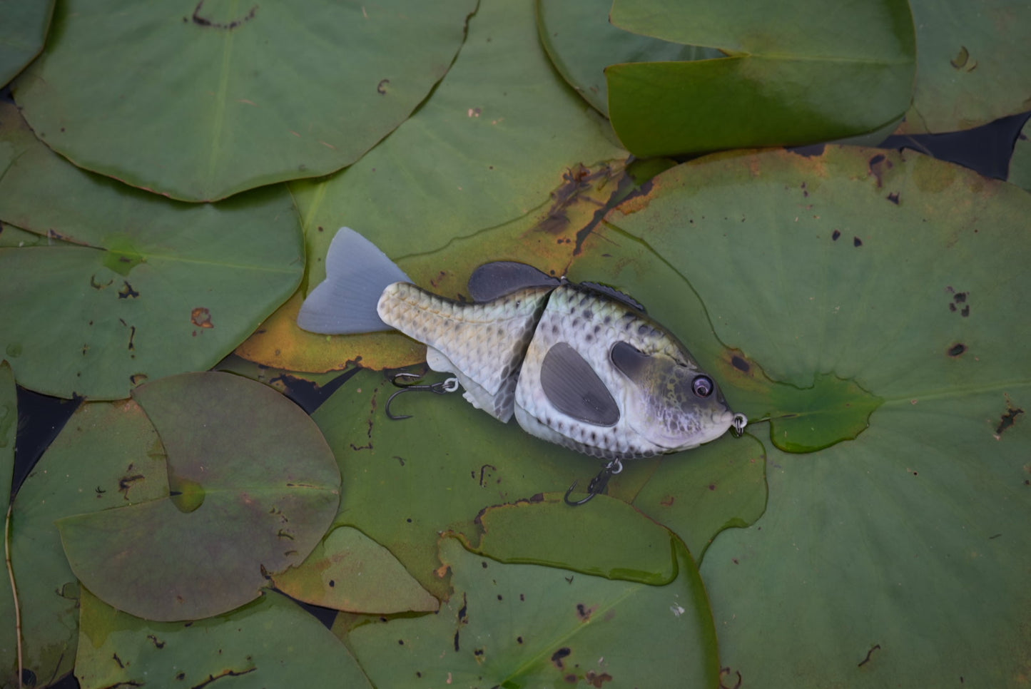GEN THREE DARK RIVERS GILL