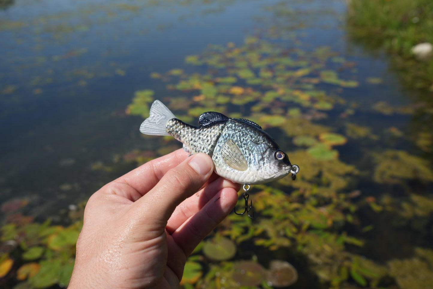 GEN THREE MINI LIGHT CRAPPIE
