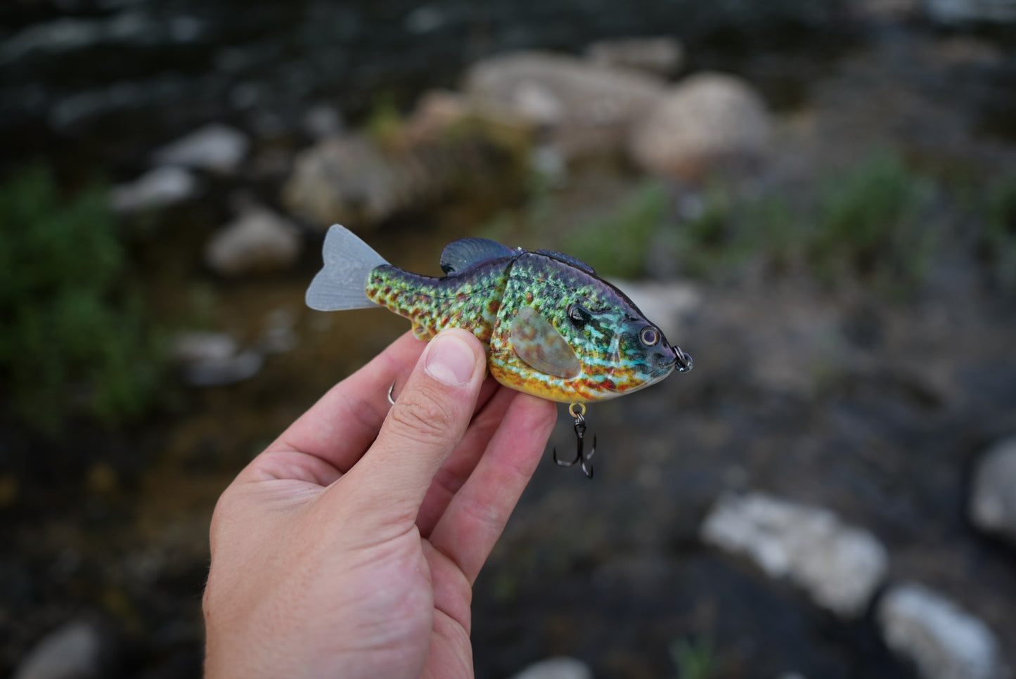 GEN THREE MINI SMOKEY GREY PUMPKINSEED