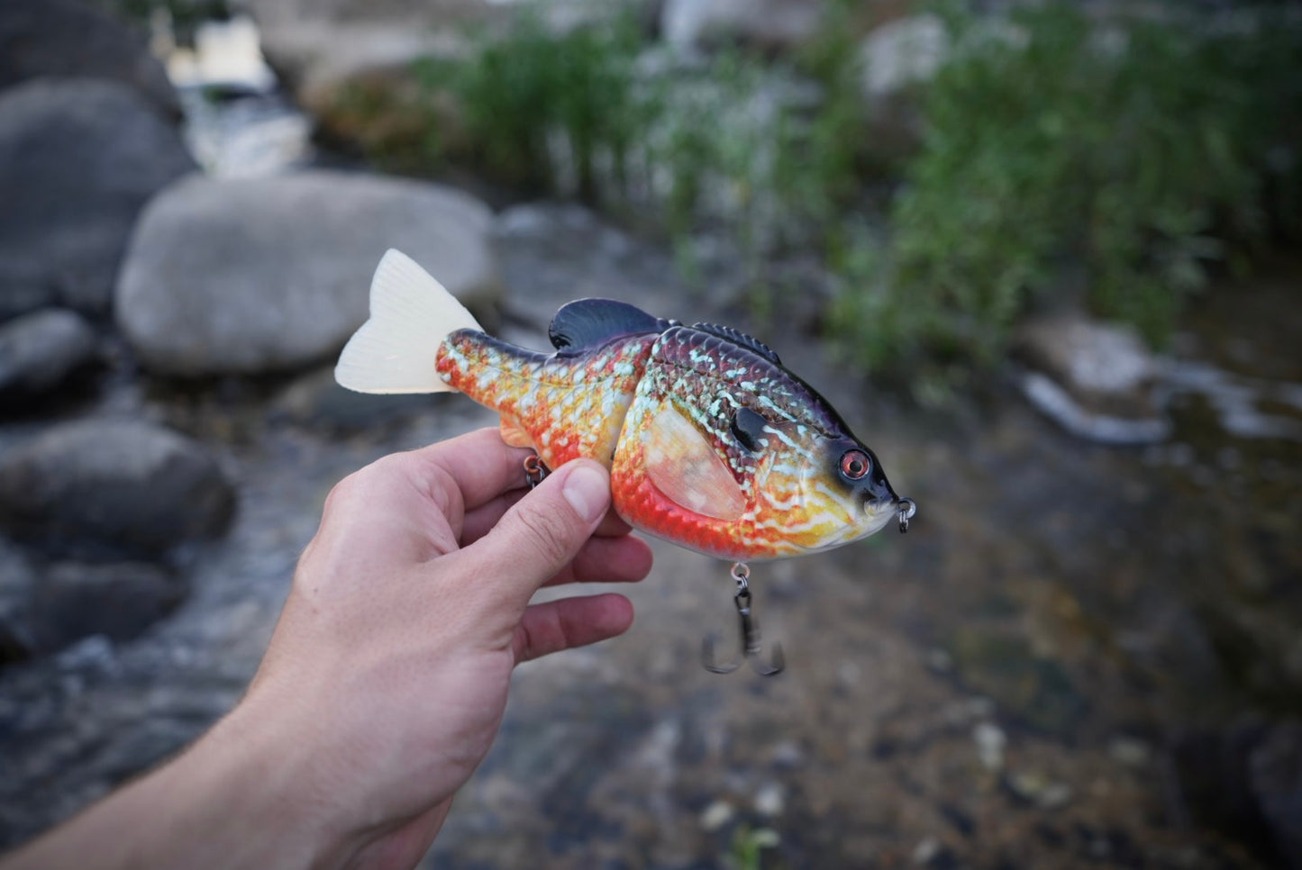 GEN THREE SCARLET SEED