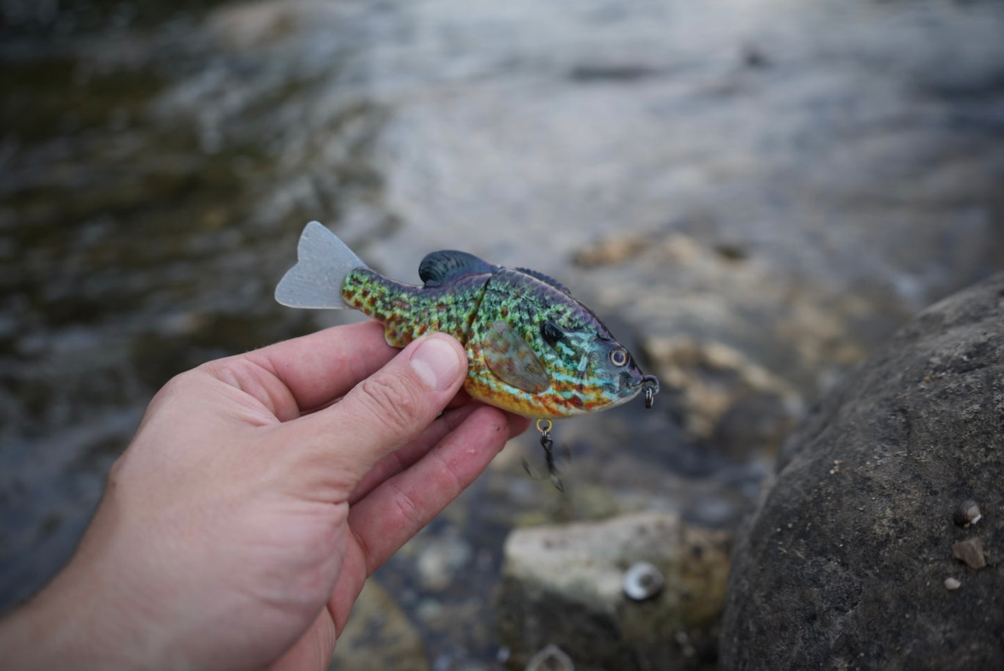 GEN THREE MINI SMOKEY GREY PUMPKINSEED
