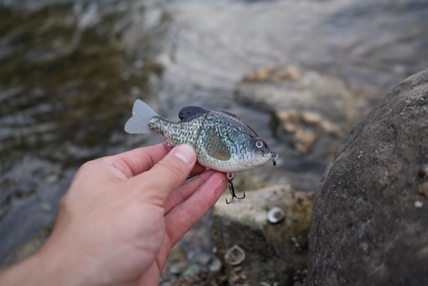 GEN THREE MINI LIGHT CRAPPIE