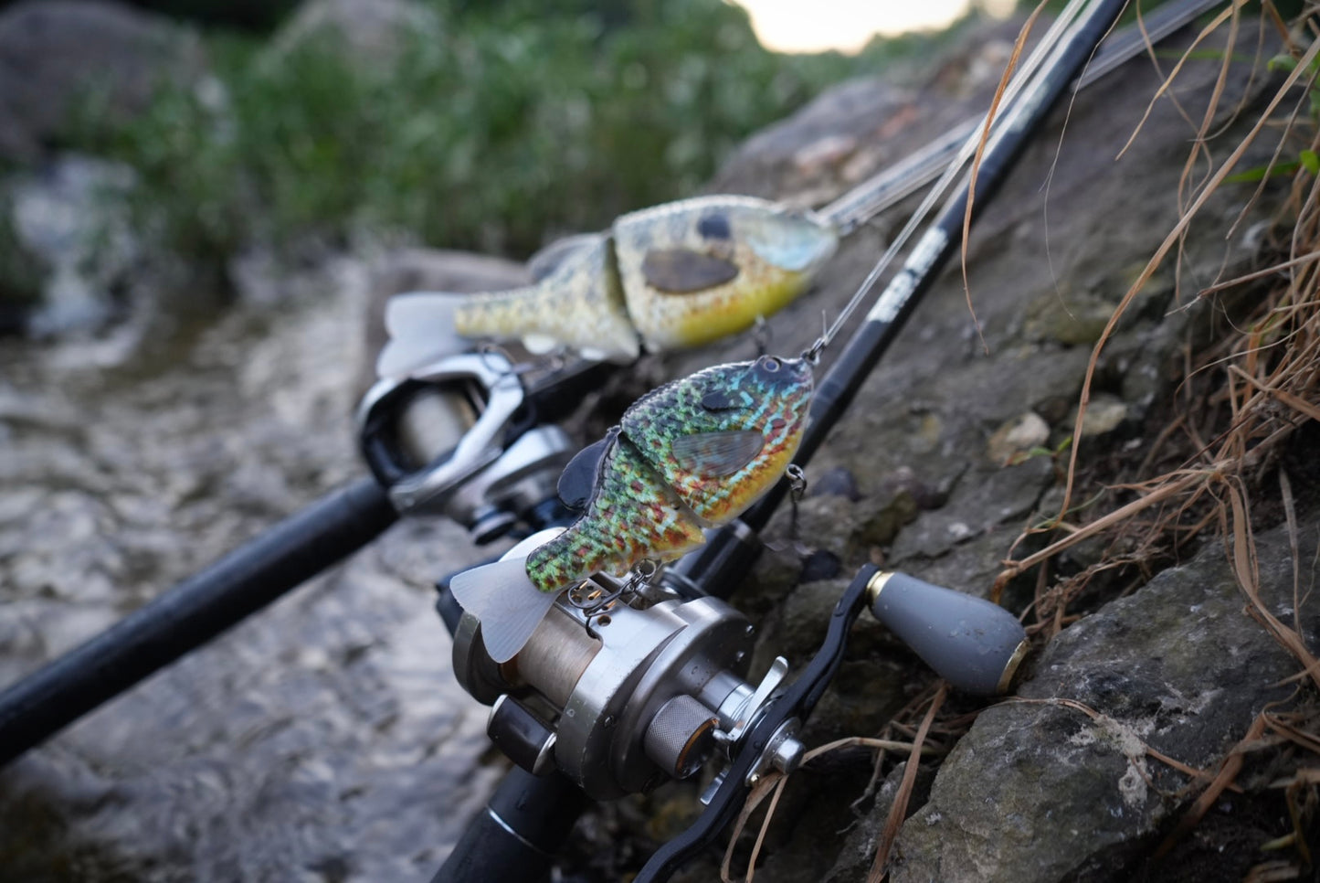 GEN THREE MINI SMOKEY GREY PUMPKINSEED