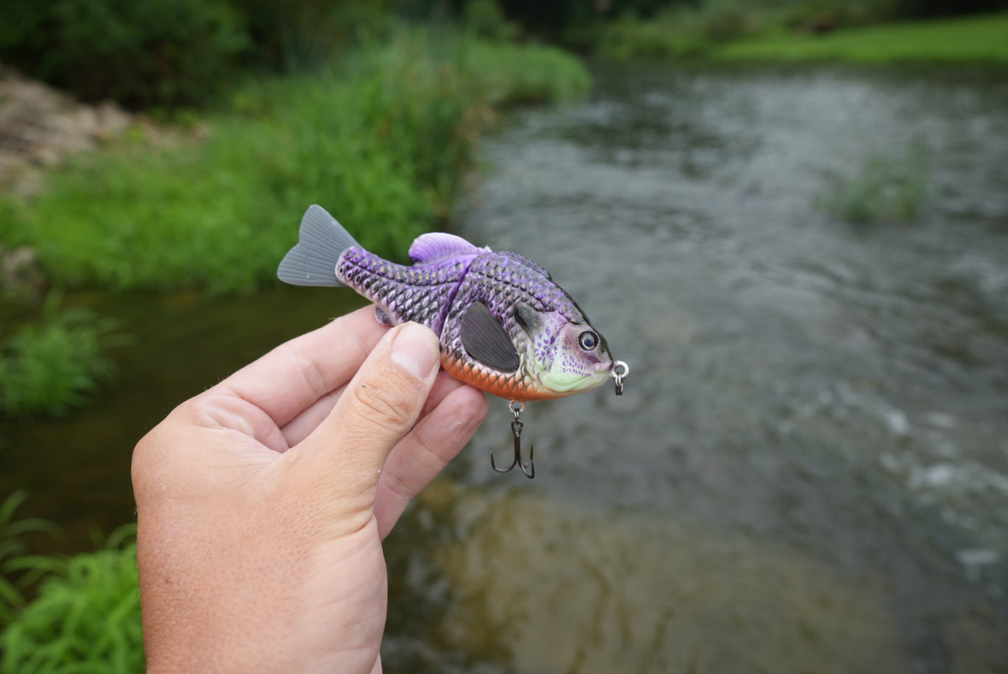 GEN THREE CBS ROYAL GILL