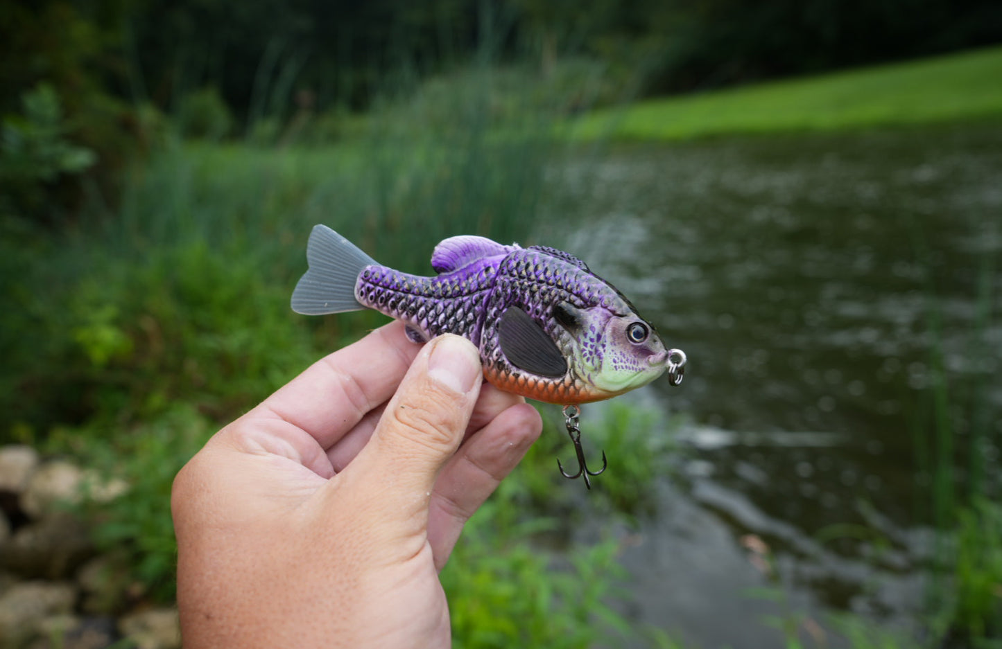 GEN THREE CBS ROYAL GILL