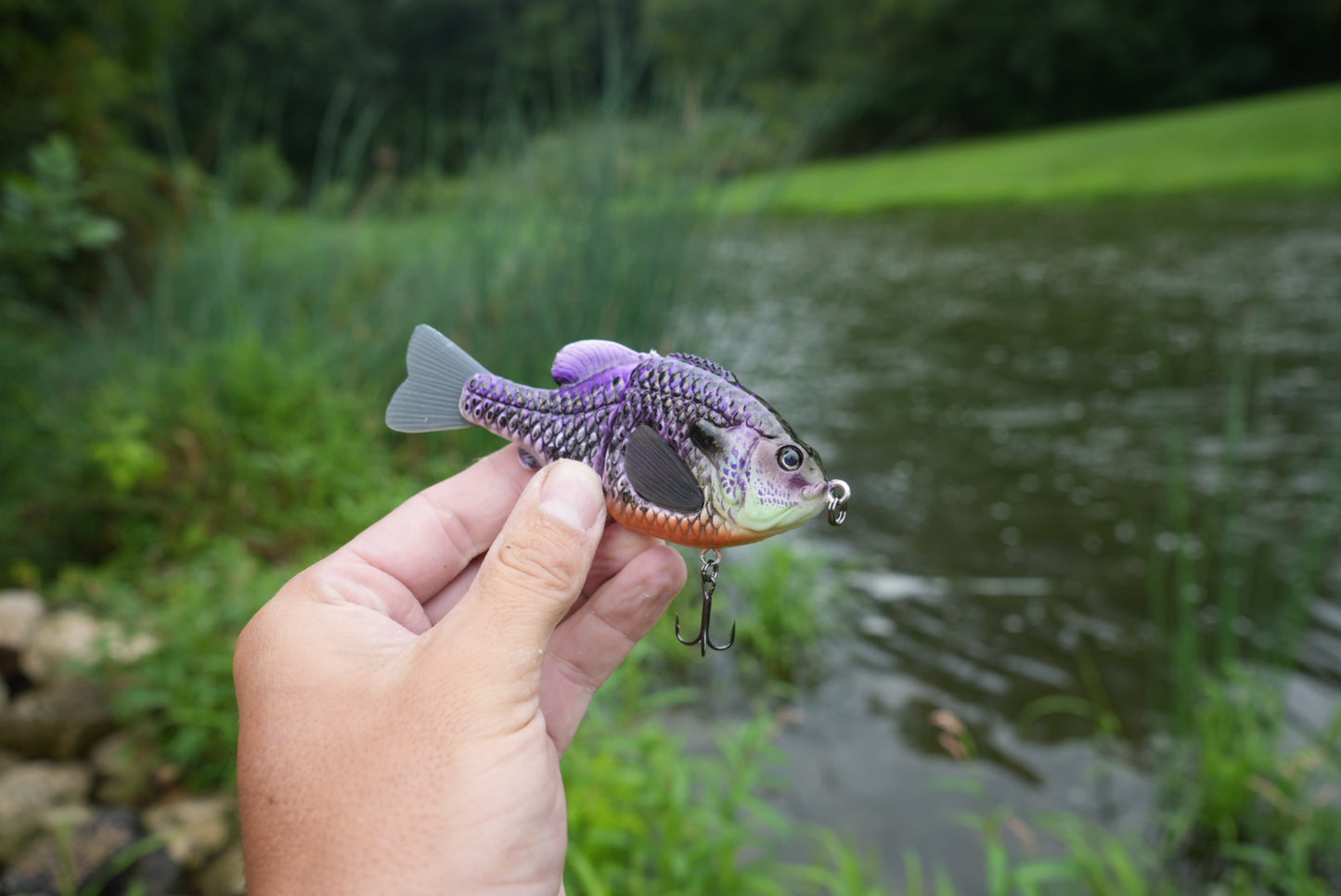 GEN THREE CBS ROYAL GILL