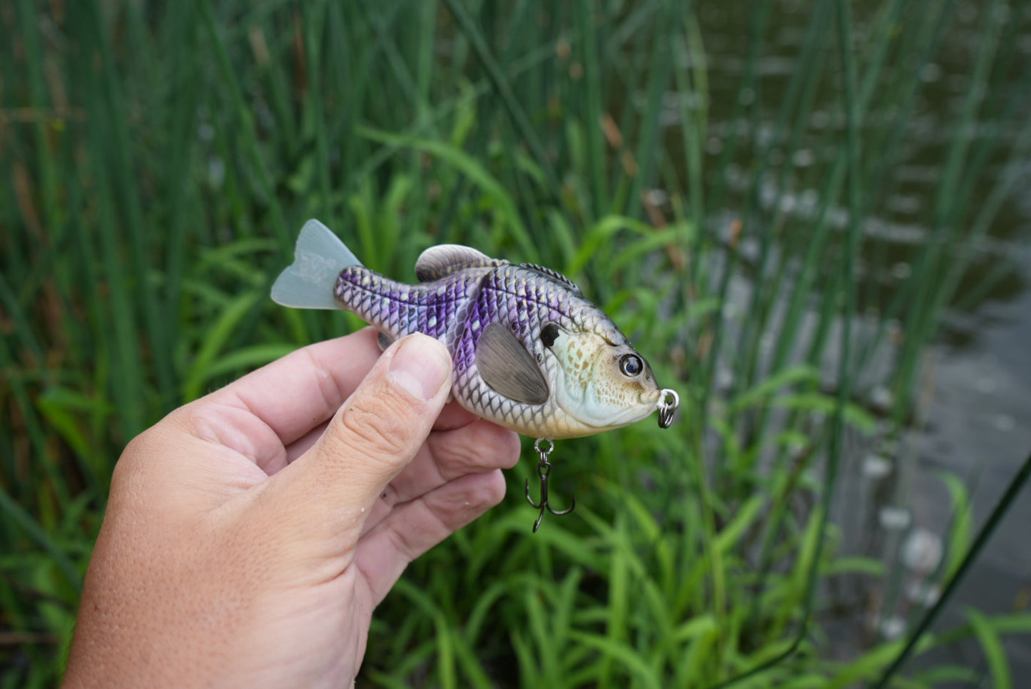 GEN THREE MINI CBS VENOM GILL