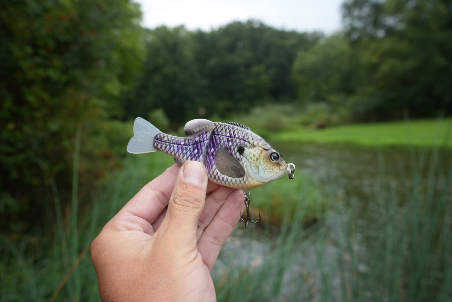 GEN THREE MINI CBS VENOM GILL