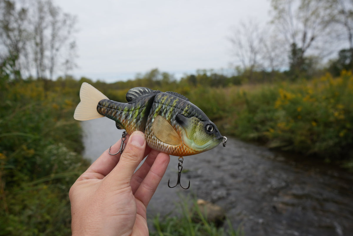 GEN THREE EC GILL
