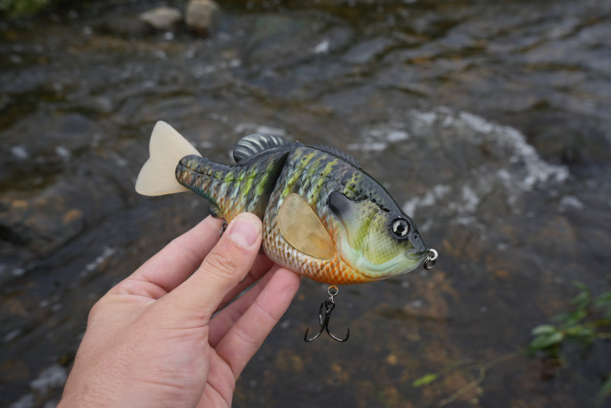 GEN THREE EC GILL