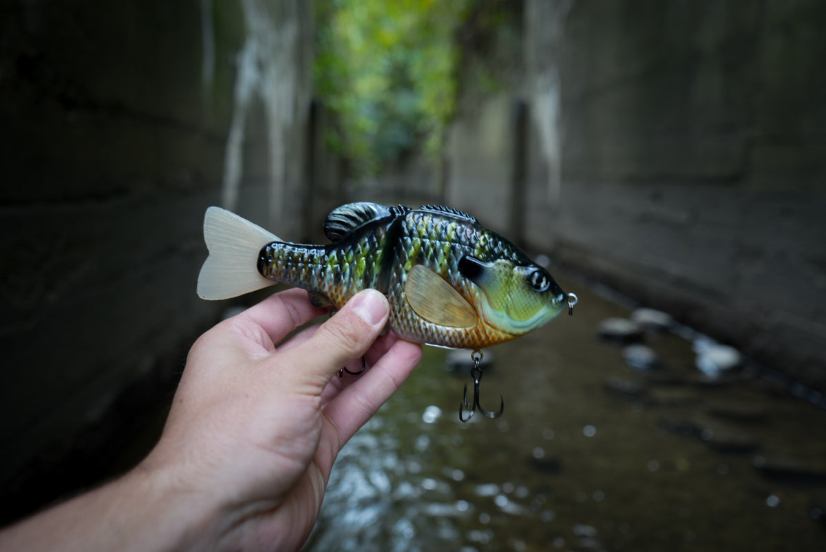 GEN THREE EC GILL