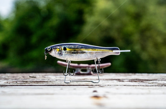 SKID ROE (THREADFIN SHAD)‼️