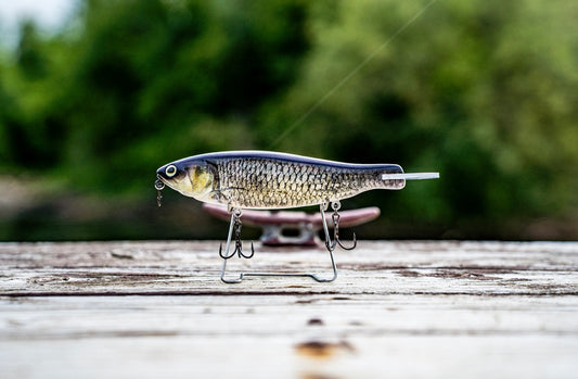 SKID ROE (EZY MINNOW)‼️