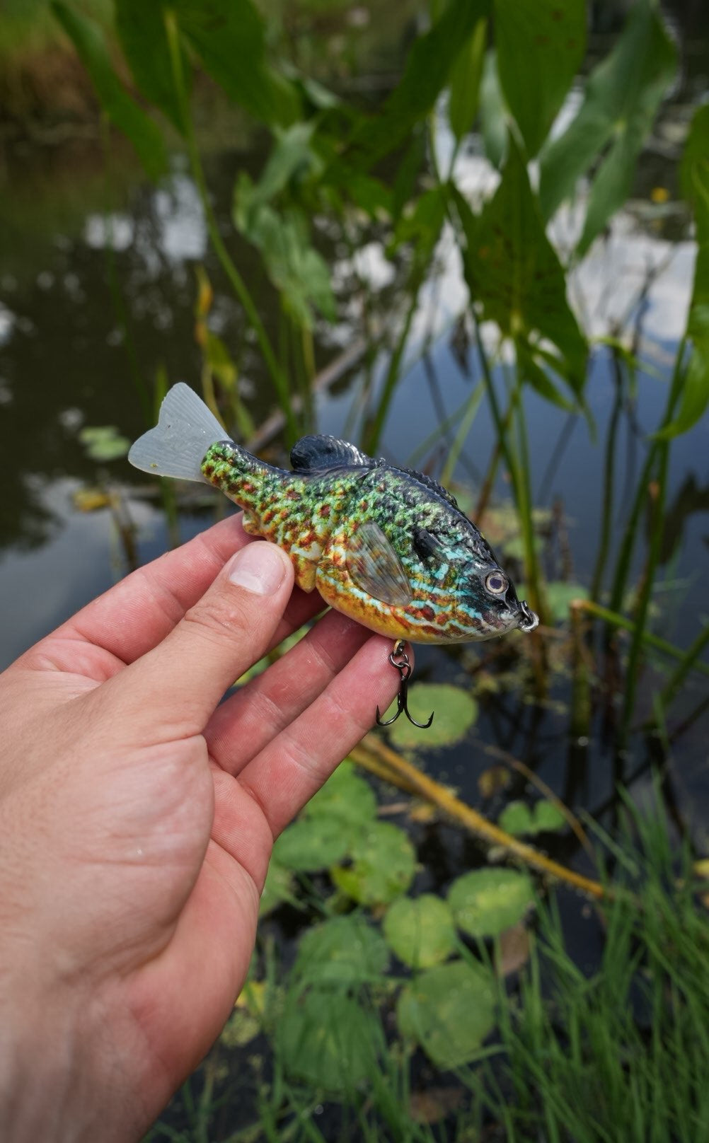 GEN THREE MINI SMOKEY GREY PUMPKINSEED